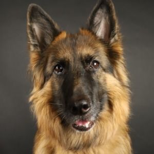 Meet your Posher, Eri